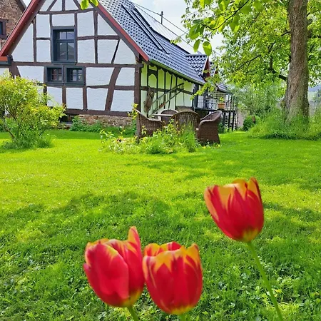 Landhaus Am Aremberg / Eifel Antweiler Esterno foto