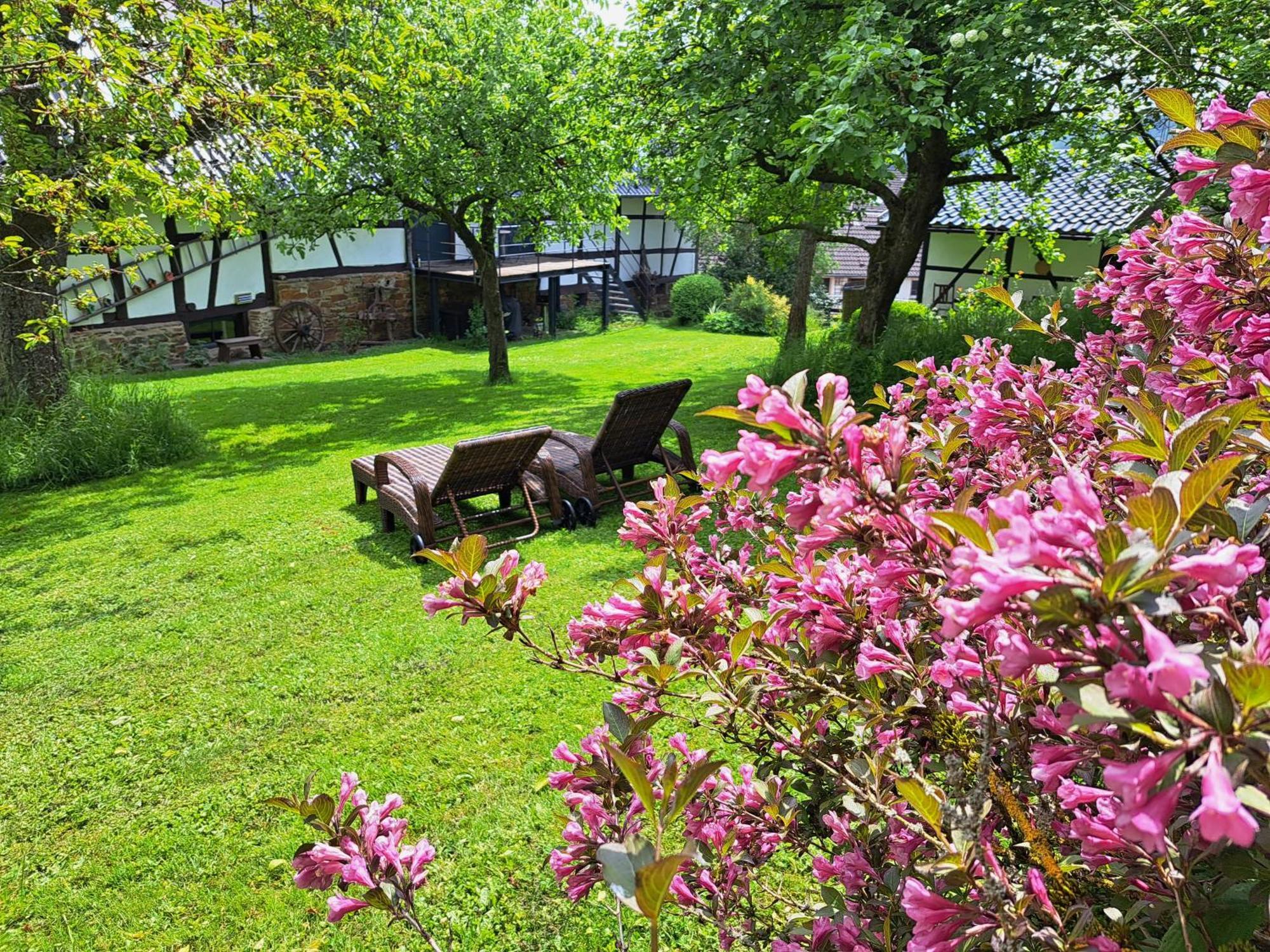 Apartment Am Aremberg / Eifel Antweiler